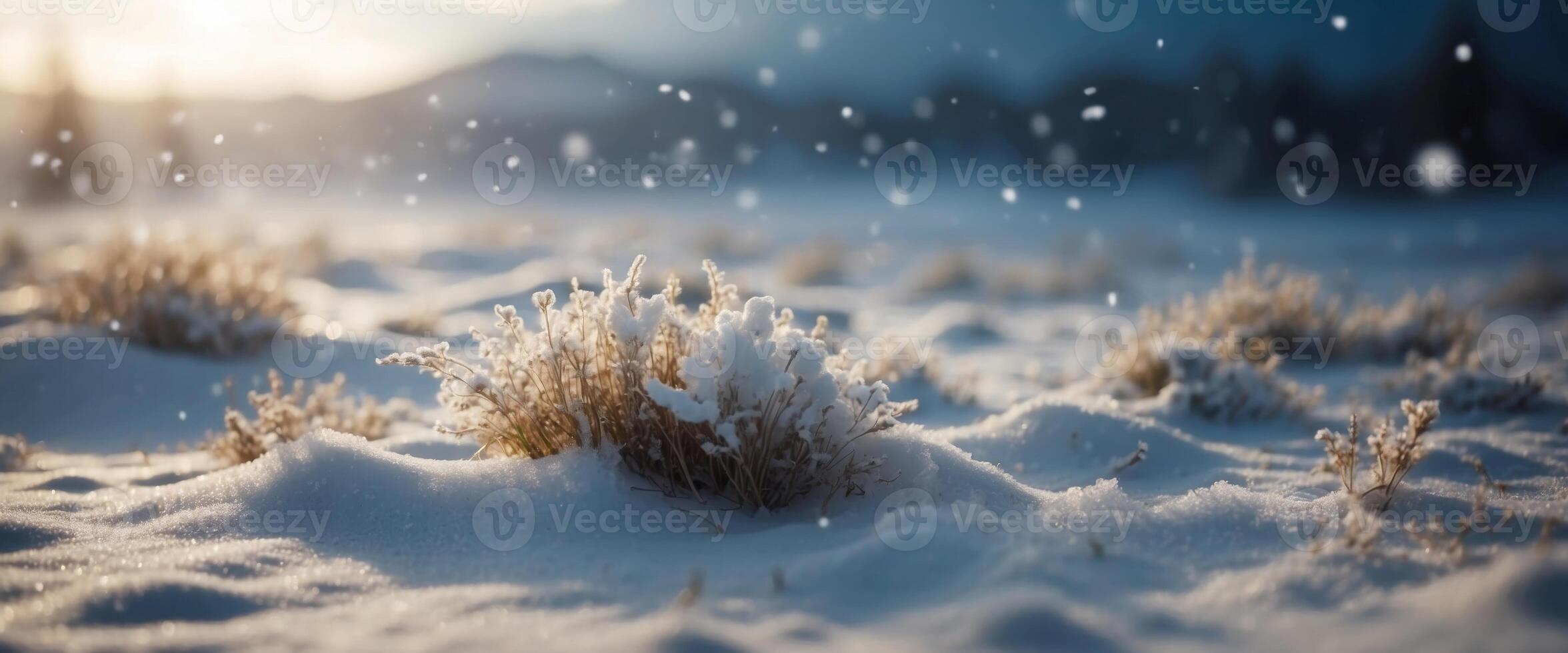 Beautiful ultrawide background image of light snowfall falling over of snowdrifts. photo