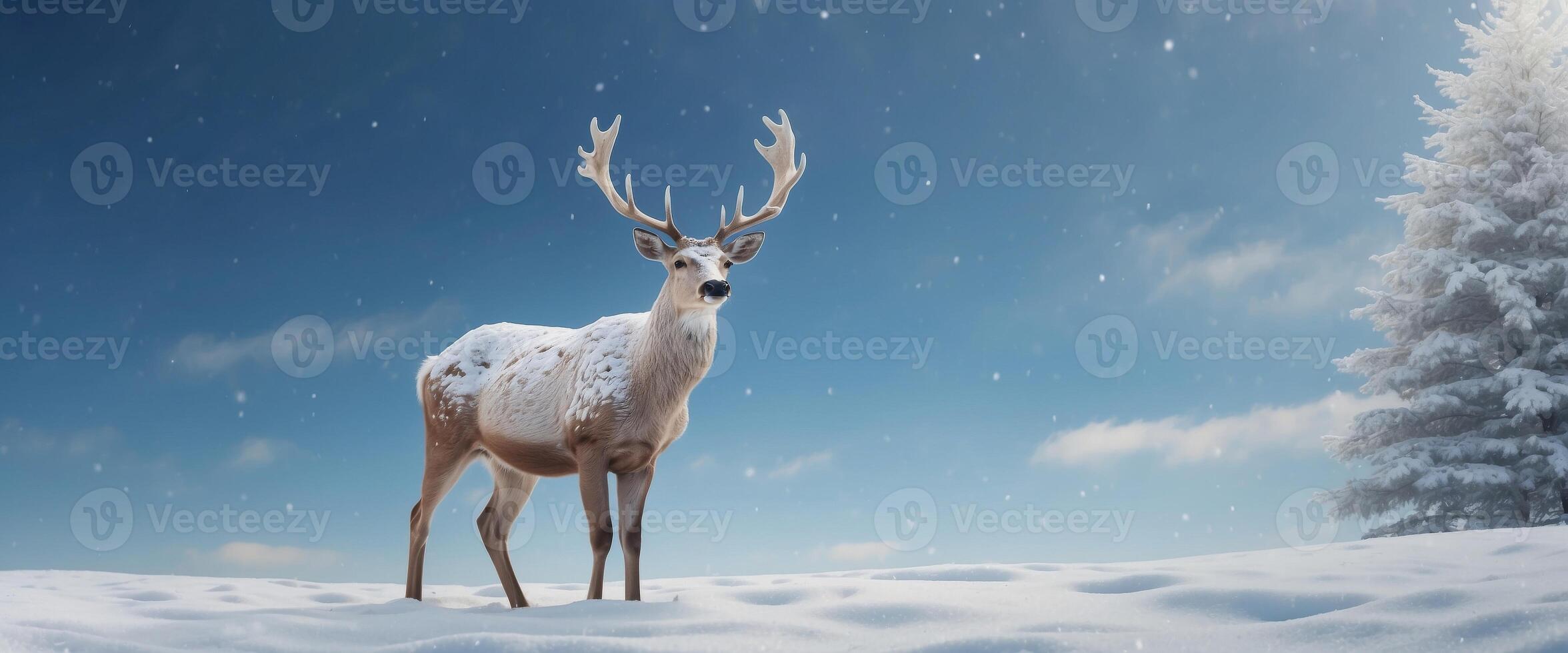 Christmas background with white decorative deer in snow on blue sky background in snowfall Banner format, copy space. photo