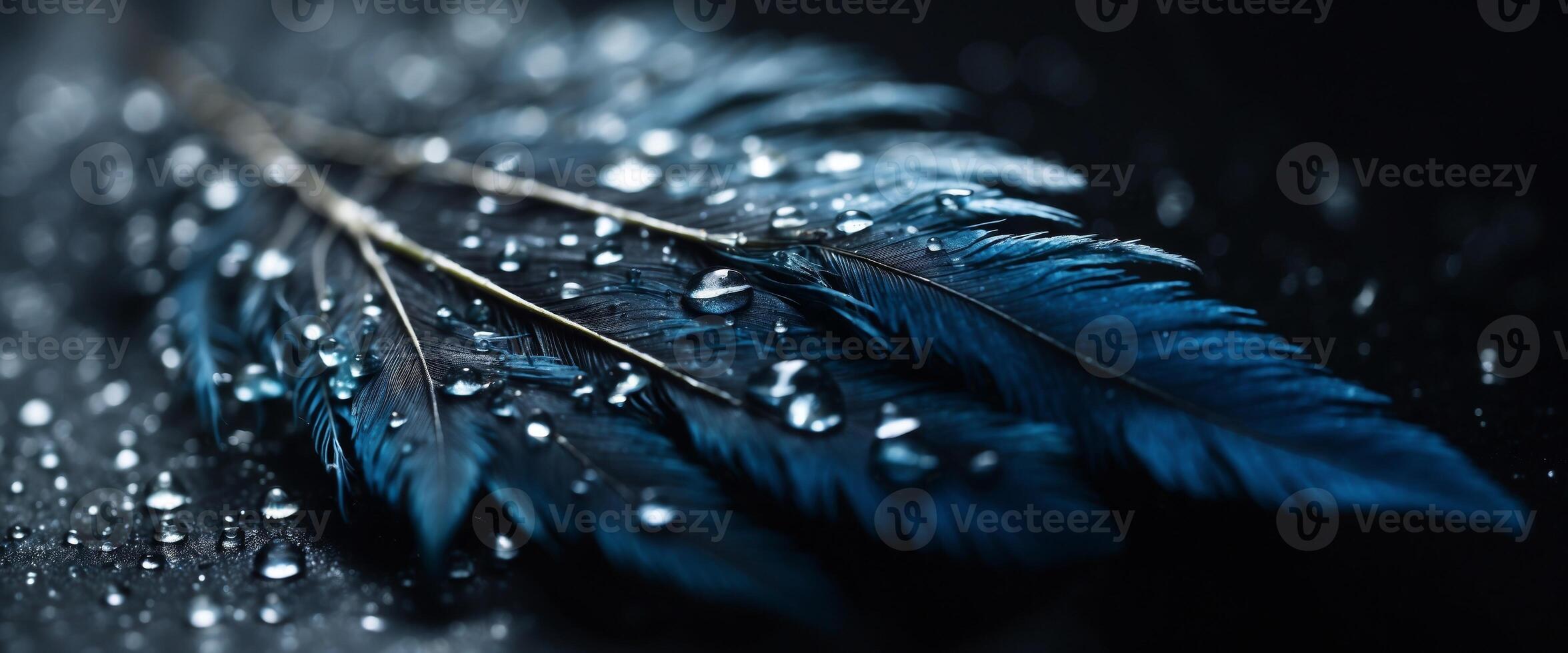 Feather of a bird in droplets of water on a dark background macro Silhouette of a blue and white feather abstract artistic image for design. photo