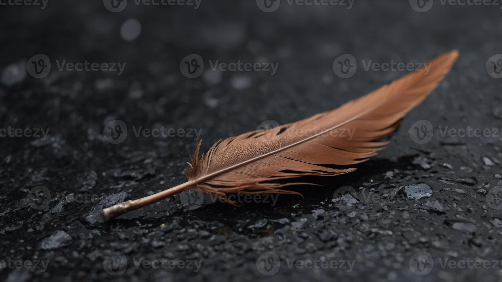 a single brown feather lying on top of a black granite stone. photo