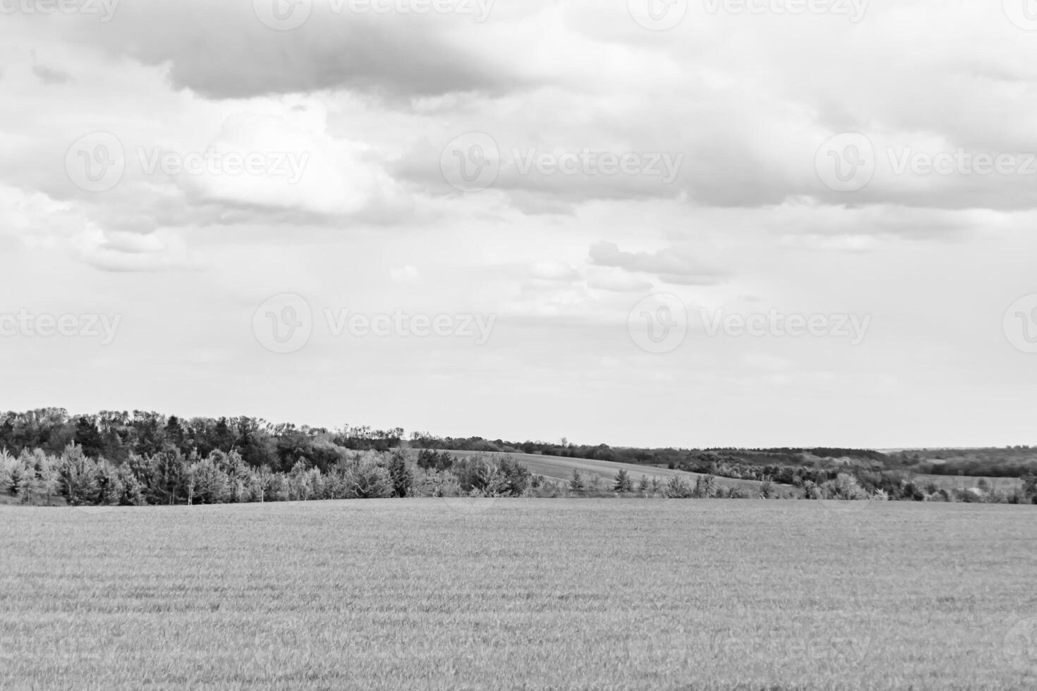 Beautiful horizon scenery in village meadow on color natural background photo