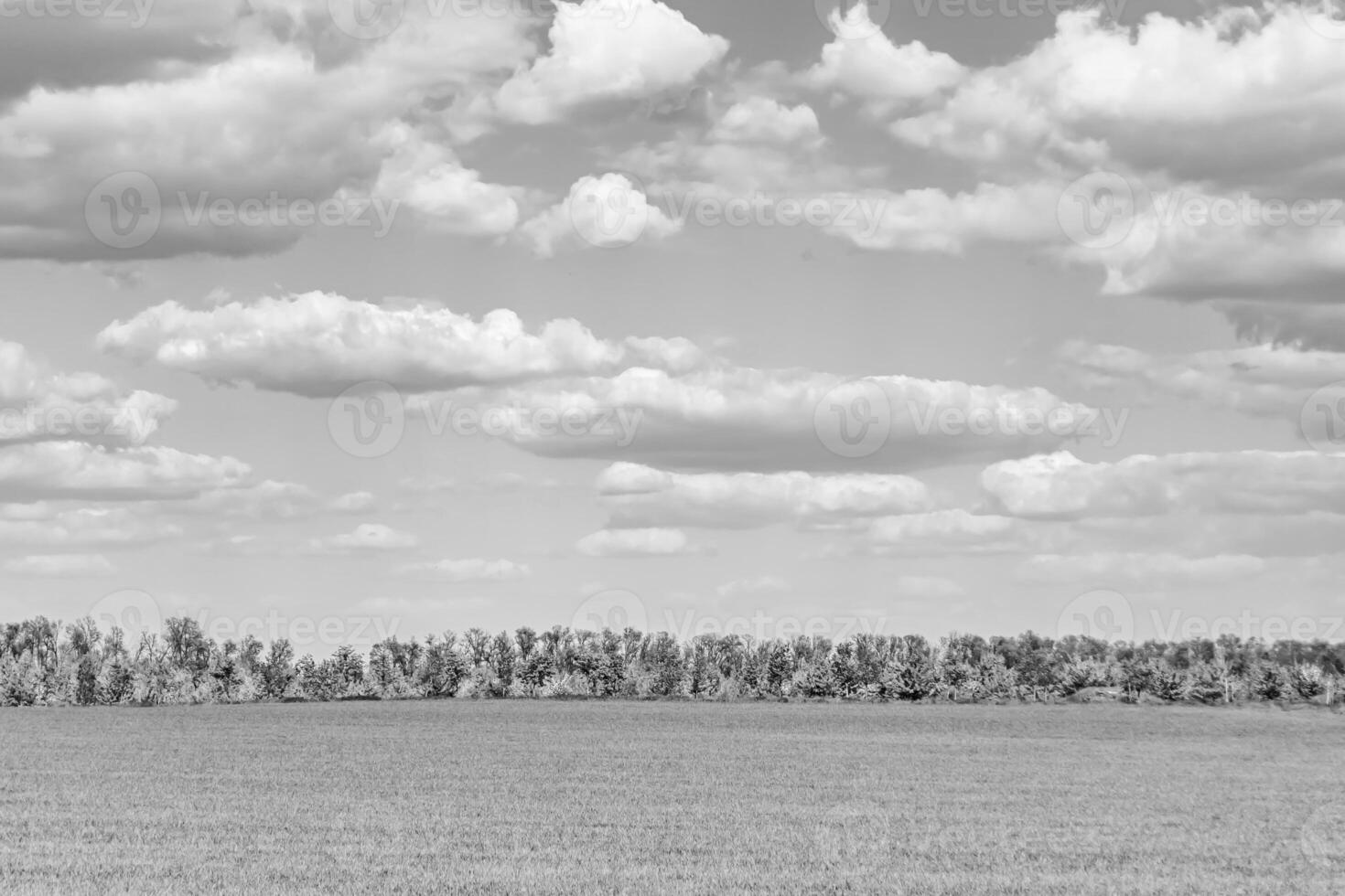 Beautiful horizon scenery in village meadow on color natural background photo