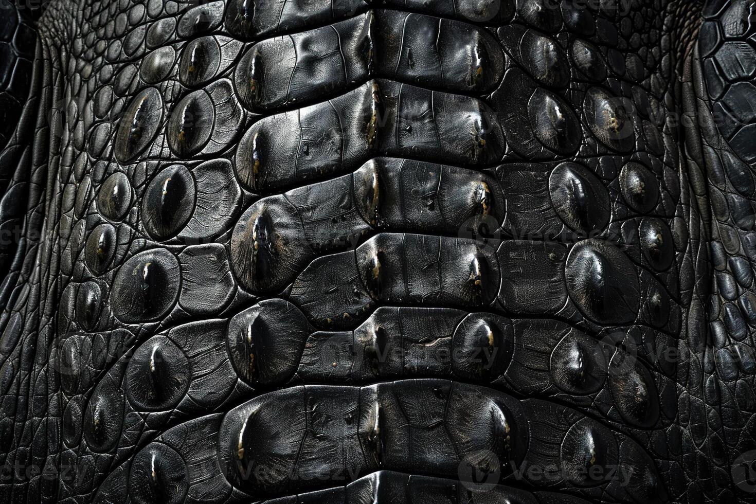 Beautiful texture crocodile skin for design natural abstract background photo