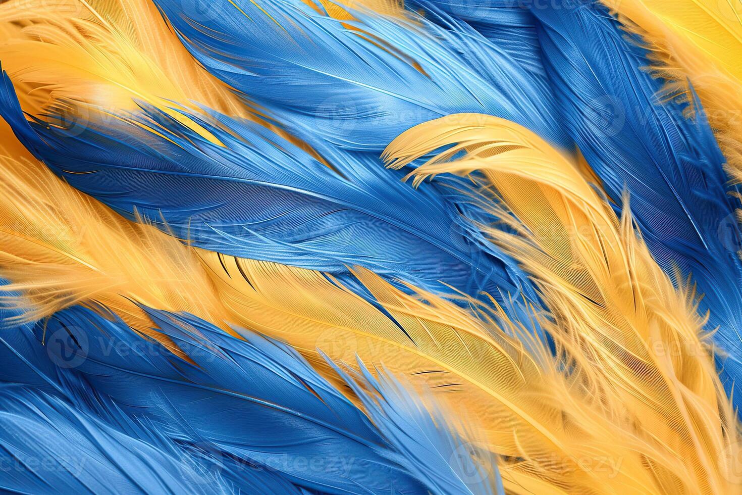 Beautiful texture bird feather for design natural abstract background photo