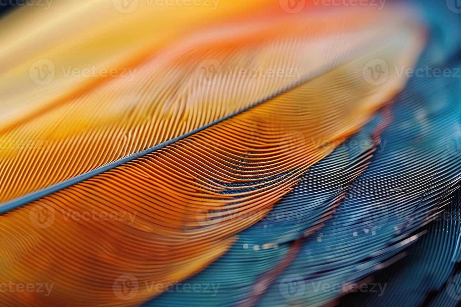 Beautiful texture bird feather for design natural abstract background photo