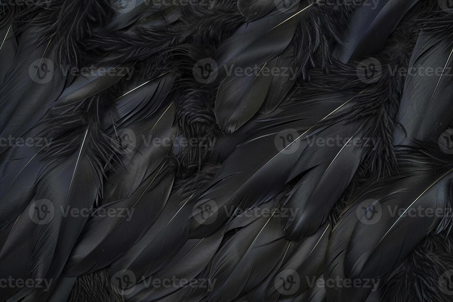 Beautiful texture bird feather for design natural abstract background photo