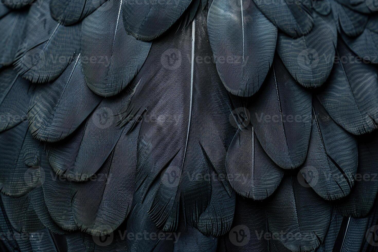 Beautiful texture bird feather for design natural abstract background photo