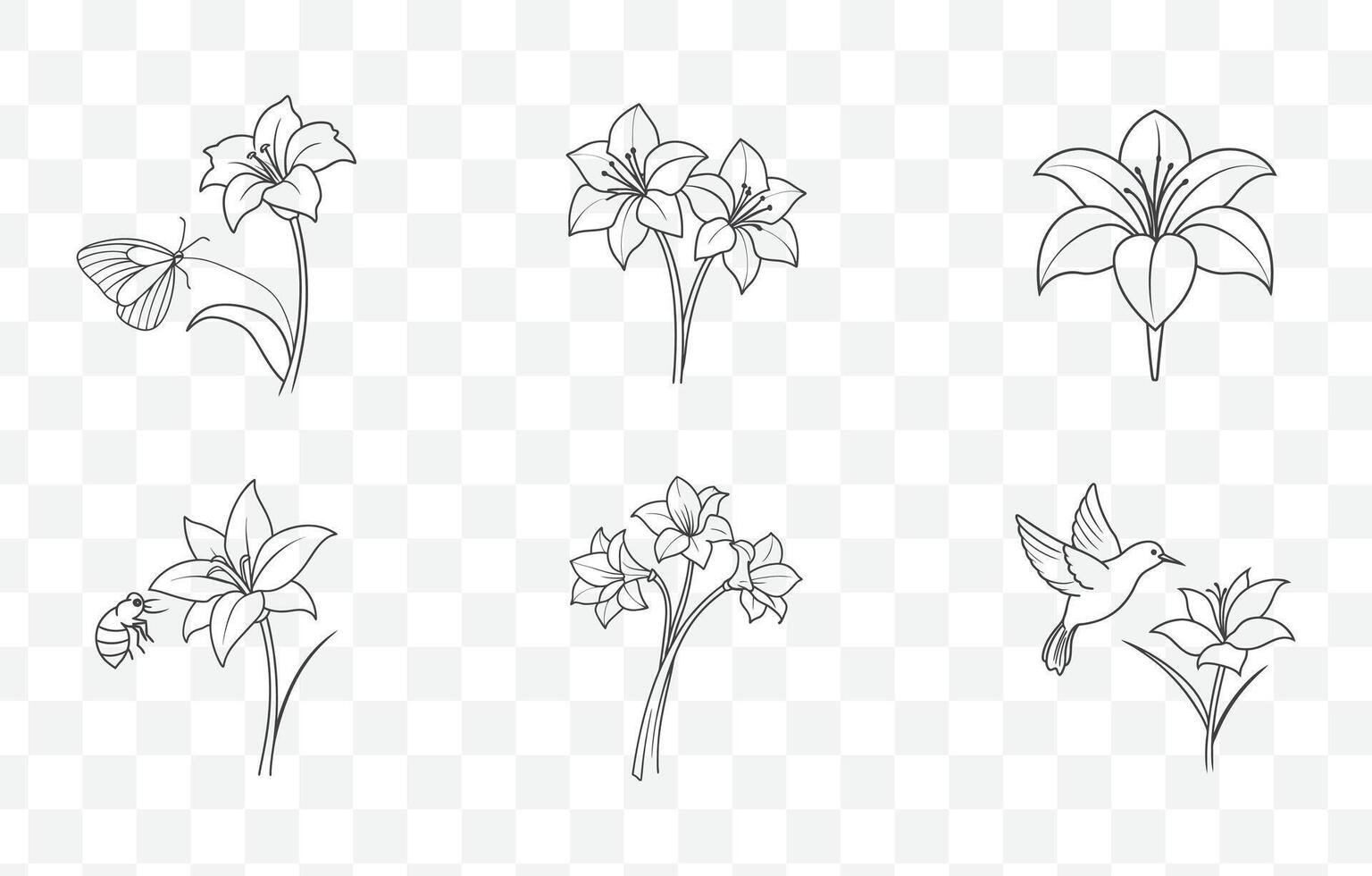 Print Amaryllis Flower Detailed Line Art Set with Intricate Floral Design Illustrations for Elegant and Creative Use vector