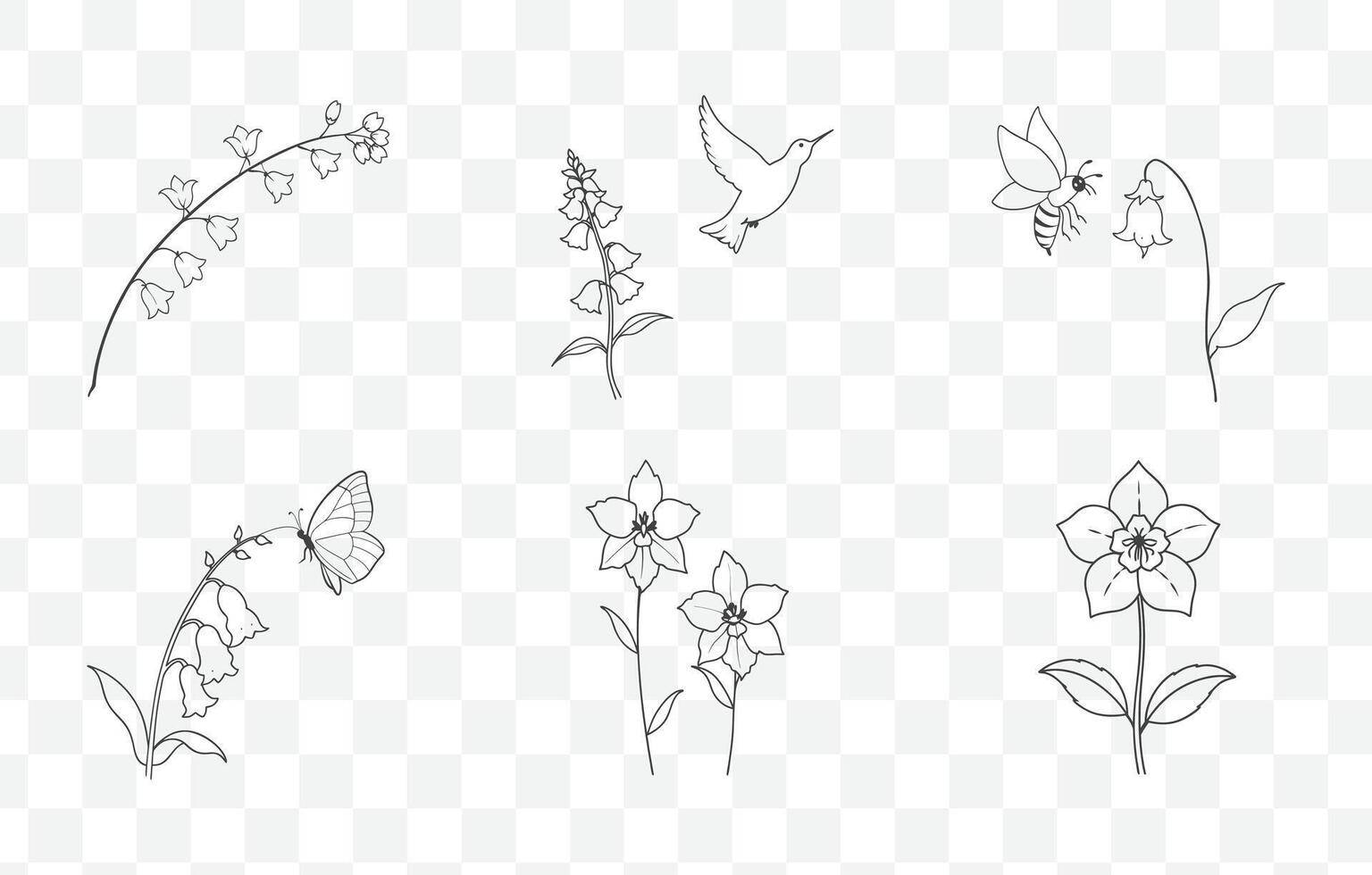 Print Larkspur Flower Line Art Set Elegant Floral Illustrations for Botanical Designs and Creative Projects vector