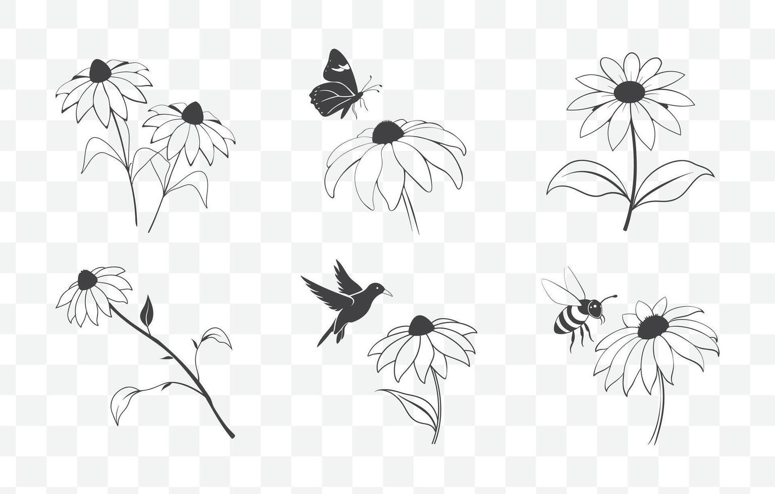 Print Rudbeckia Flower Botanical Line Art Set with Detailed Illustrations of Black Eyed Susan Blooms and Foliage vector