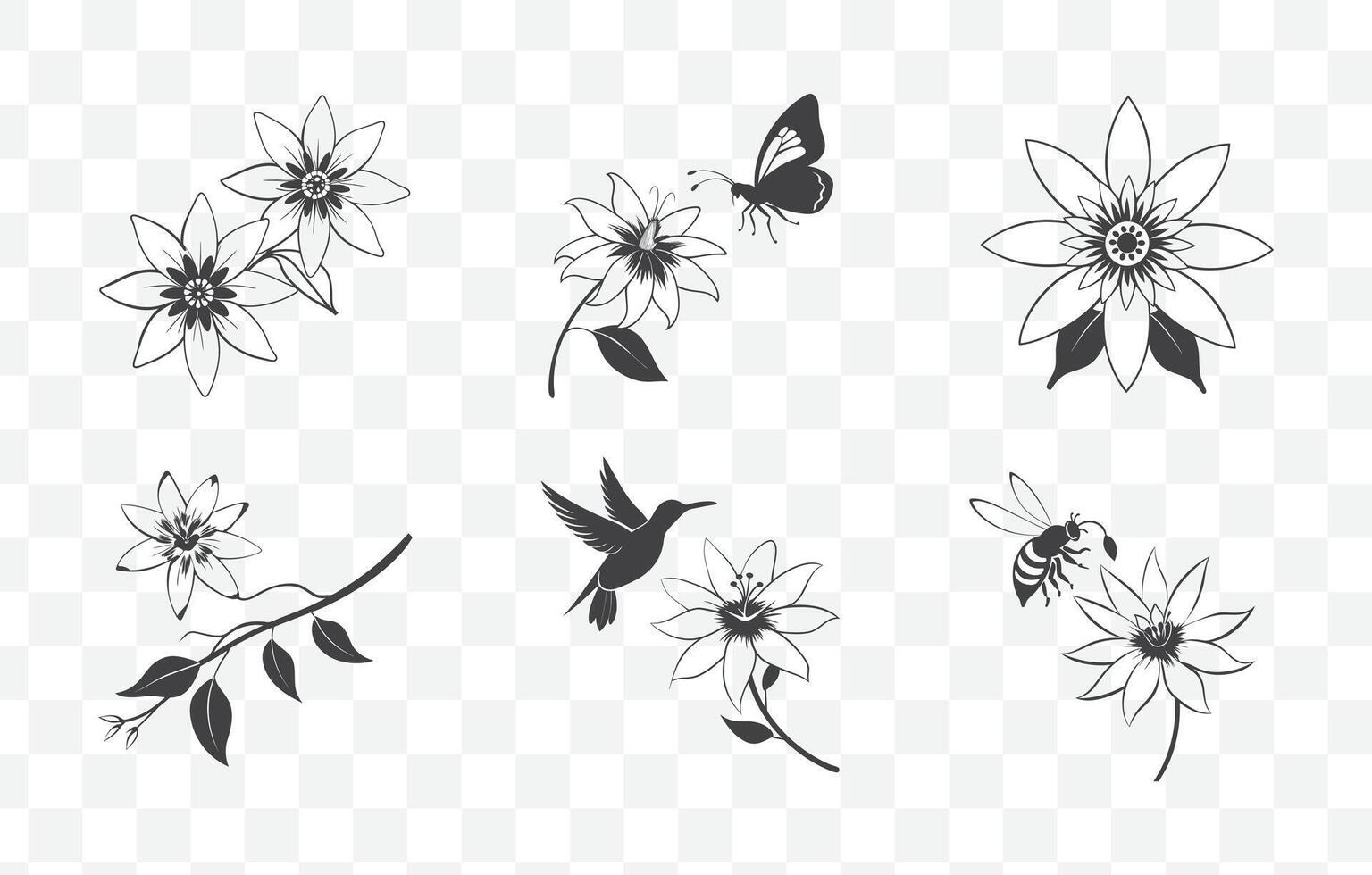 Print Passiflora Passion Flower Line Art Set Detailed Floral Illustrations of Passion Flowers for Design vector