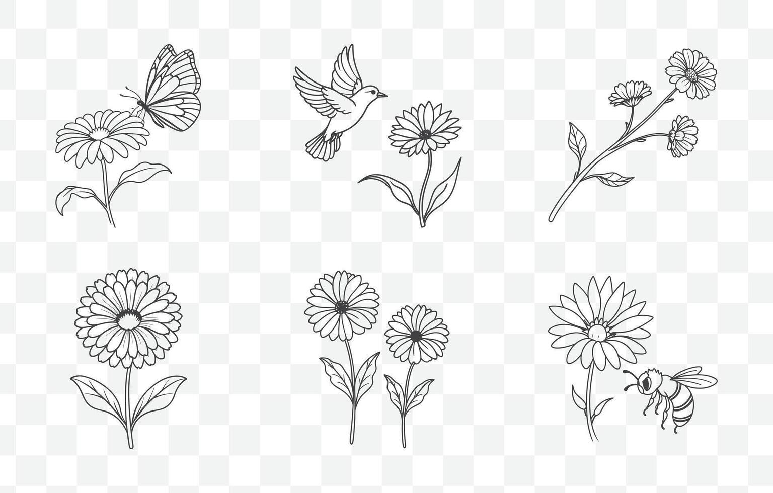 Print Calendula Flower Line Art Set for Digital and Print Design with Elegant and Detailed Illustrations vector