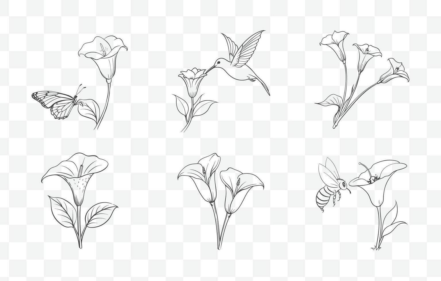 Print Elegant Calla Lily Flower Line Art Set for Graphic Design and Illustrations vector