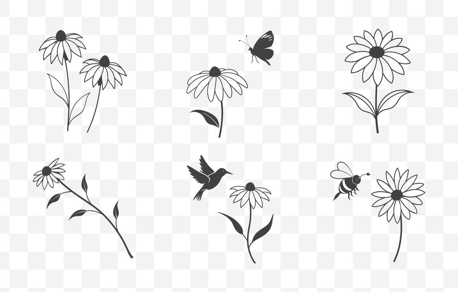 Print Rudbeckia Flower Botanical Line Art Set with Detailed Illustrations of Black Eyed Susan Blooms and Foliage vector