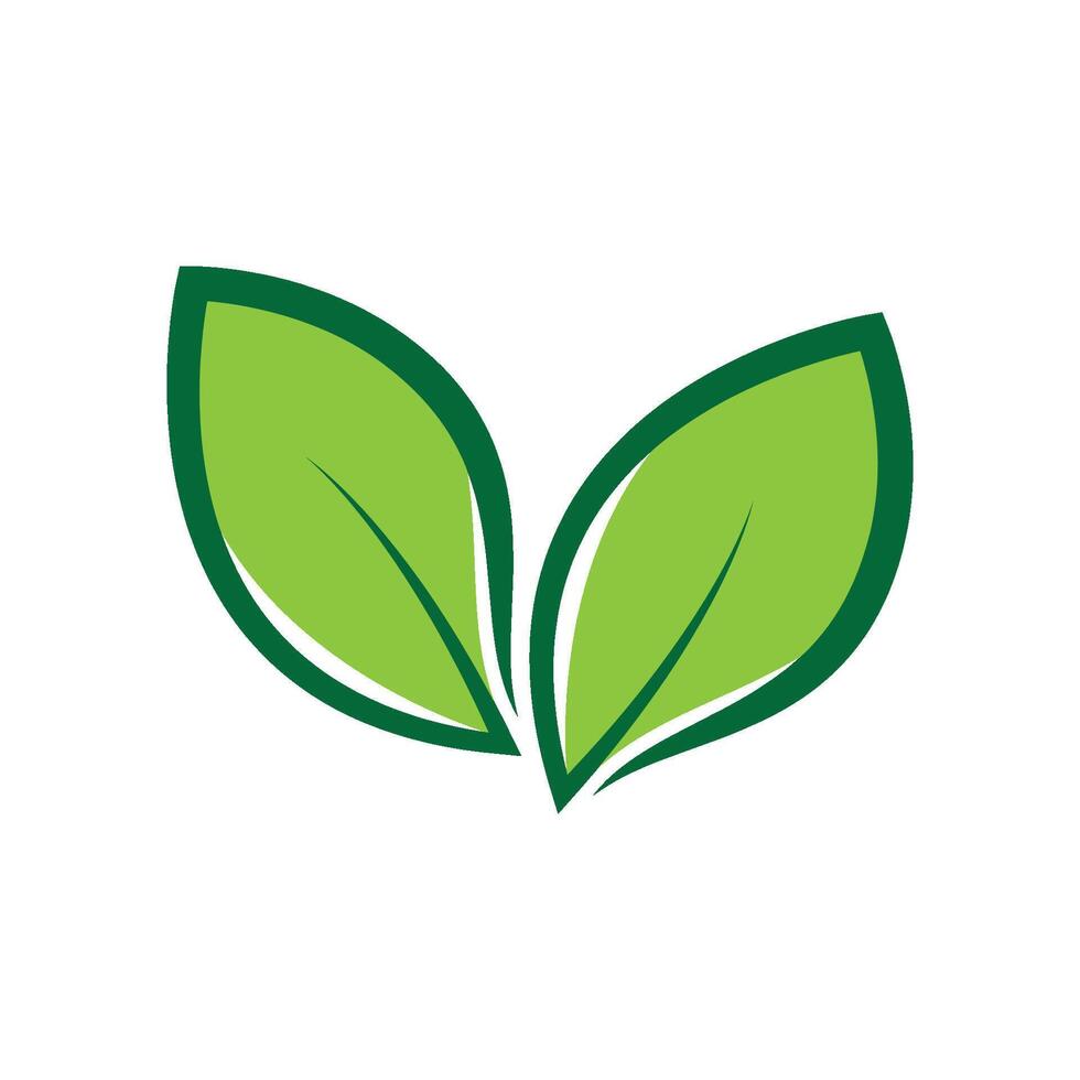 green leaf logo design vector