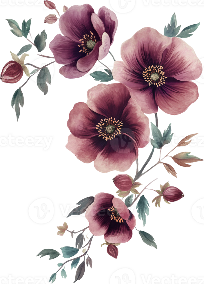a watercolor flowers png