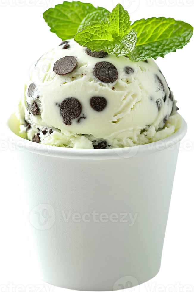 ice cream with chocolate chips and mint leaves in a cup png