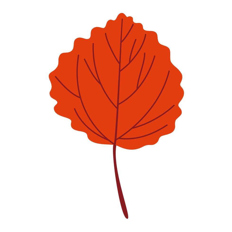 Autumn aspen Leaf. Hand drawn trendy flat style isolated. autumn leaf illustration vector