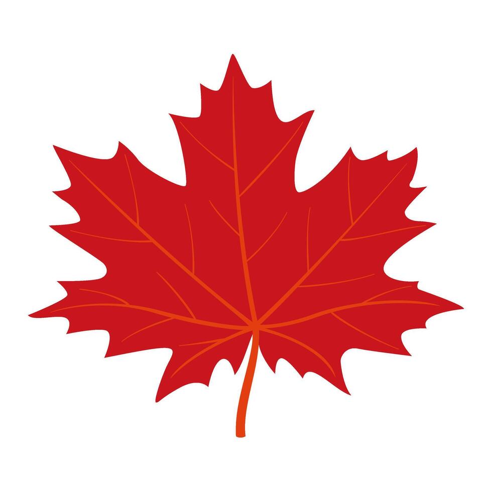 Red Autumn maple leaf. Hand drawn trendy flat style isolated. autumn leaf, golden season illustration vector