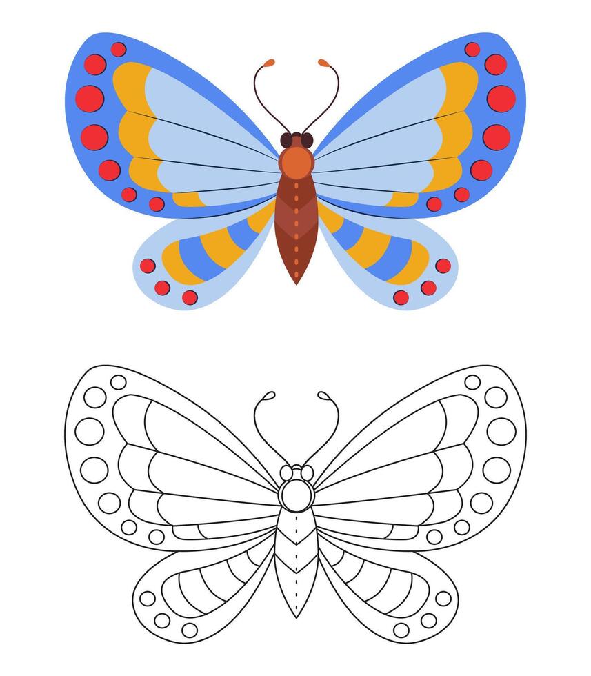 Butterfly Coloring page. Colorful and black white butterfly doodle style. line art Beautiful insects, Hand Drawn. Retro style. Spring summer seasons. Coloring page vector