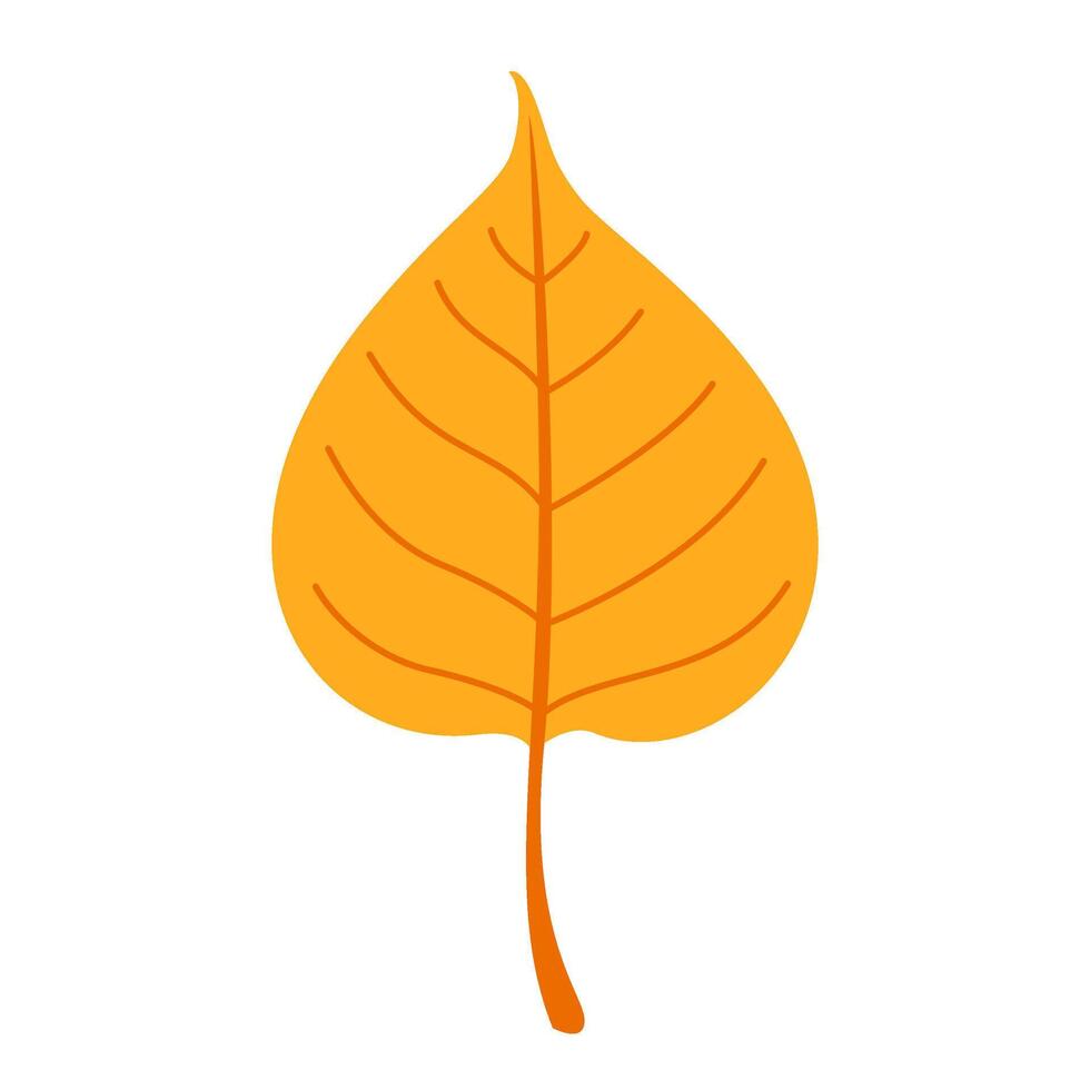 Autumn linden leaf. Hand drawn trendy flat style isolated. autumn leaf, golden season illustration vector
