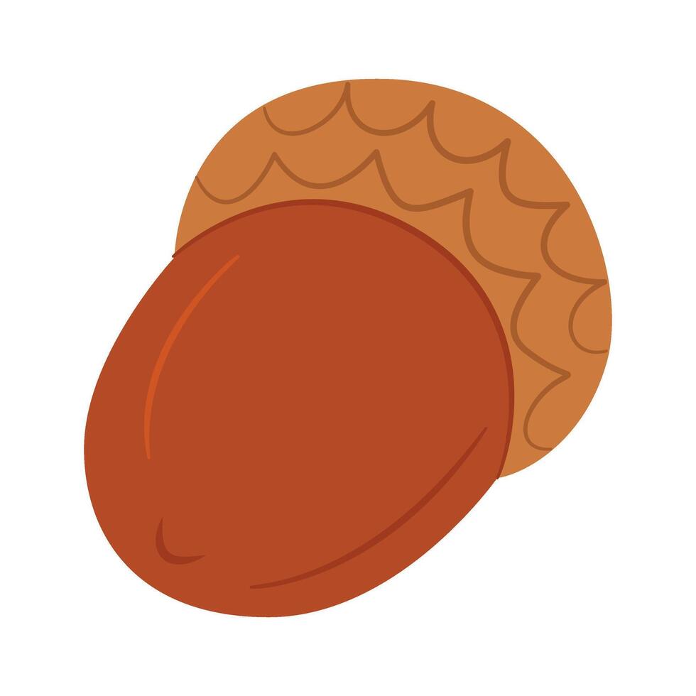 Acorn. Hand drawn Oak tree fruit. trendy flat style isolated on white background illustration vector