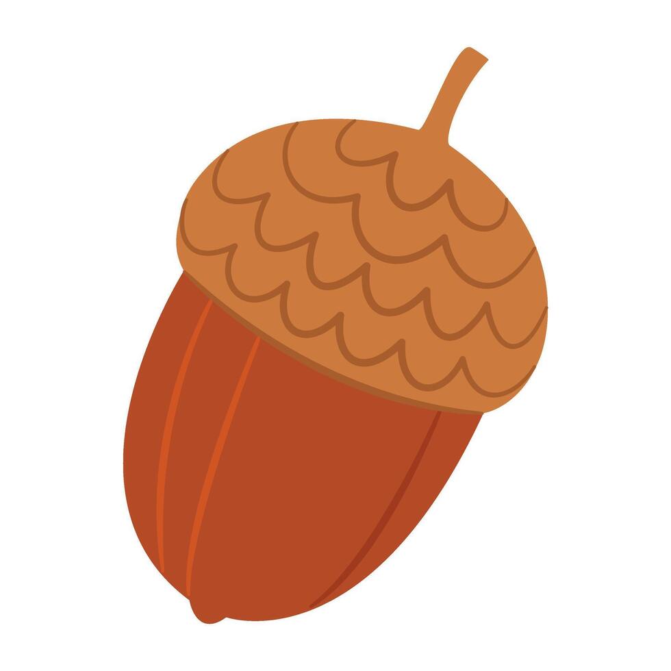Oak tree fruit, Acorn. Hand drawn trendy flat style isolated on white background illustration vector