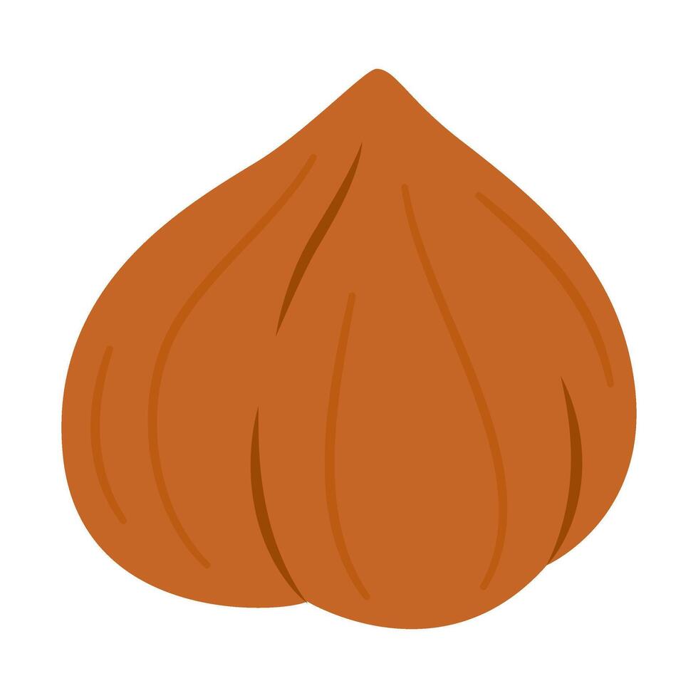 ripe and tasty Hazelnut kernel, healthy treat, snacks. Hand drawn trendy flat style isolated illustration vector