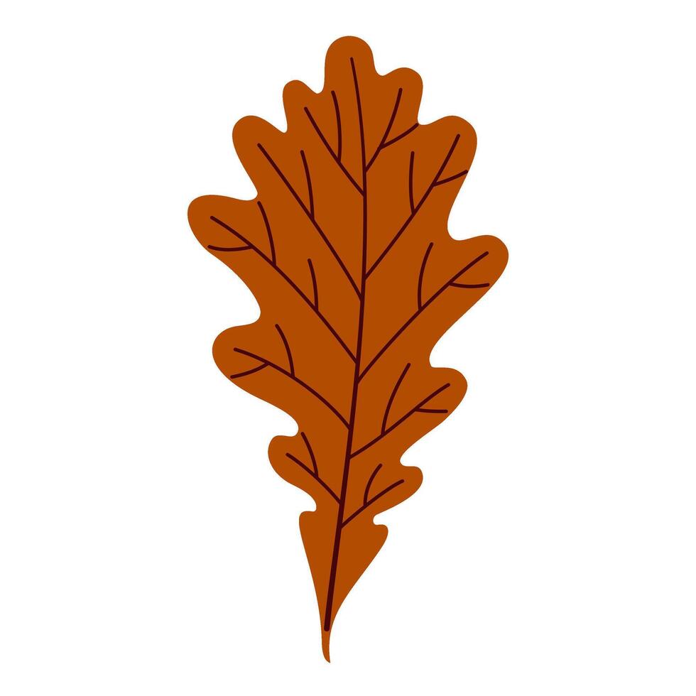 Autumn brown Oak Leaf. Hand drawn trendy flat style isolated. autumn leaf, golden season illustration vector
