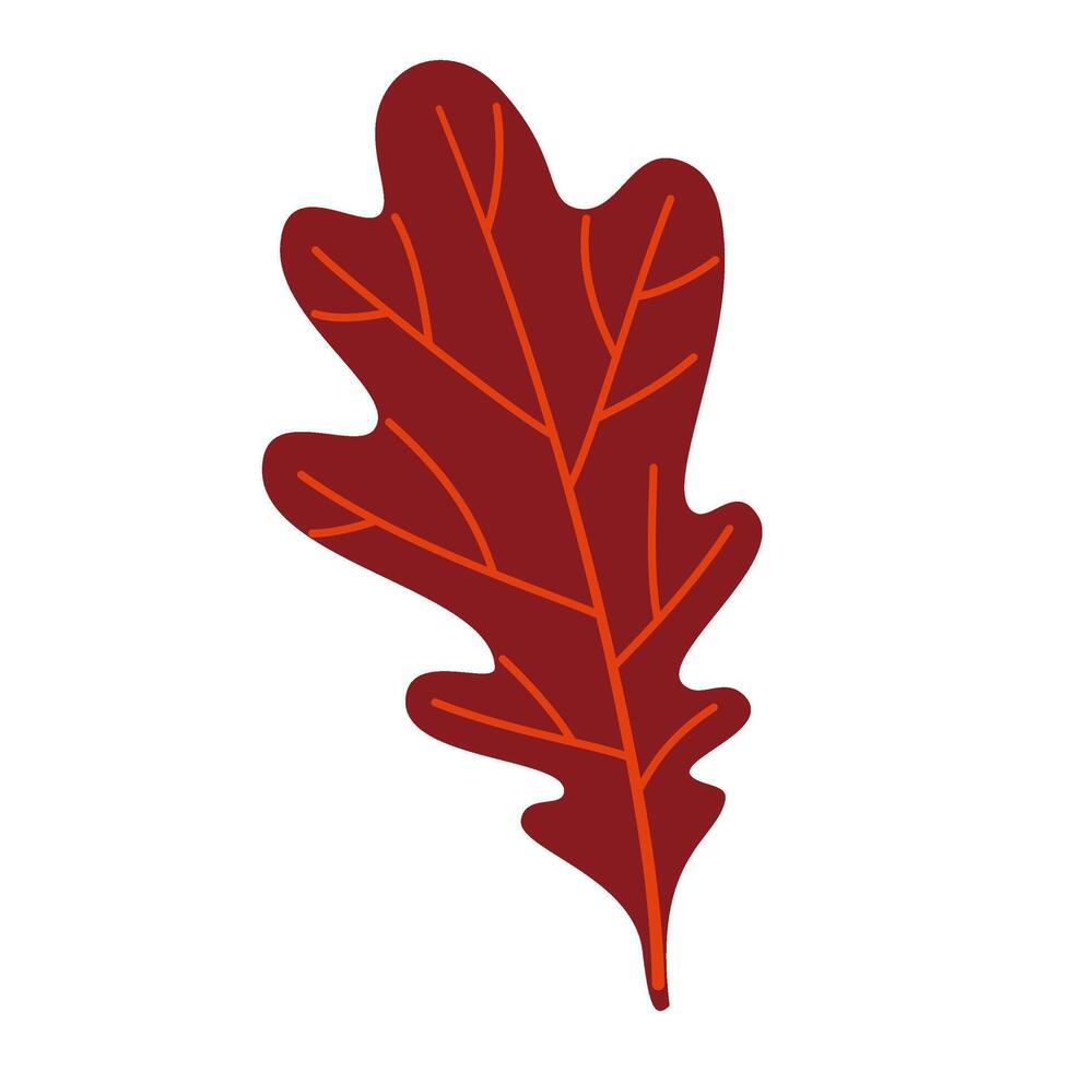 Oak Leaf. Hand drawn trendy flat style isolated. autumn leaf, golden season illustration vector