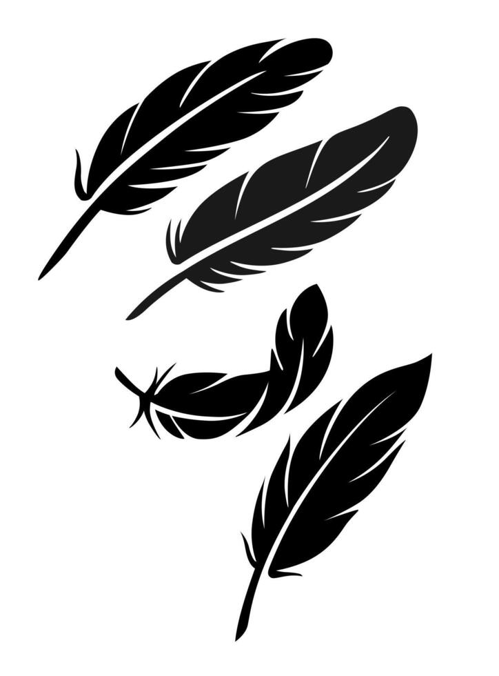Feather set on white background. vector