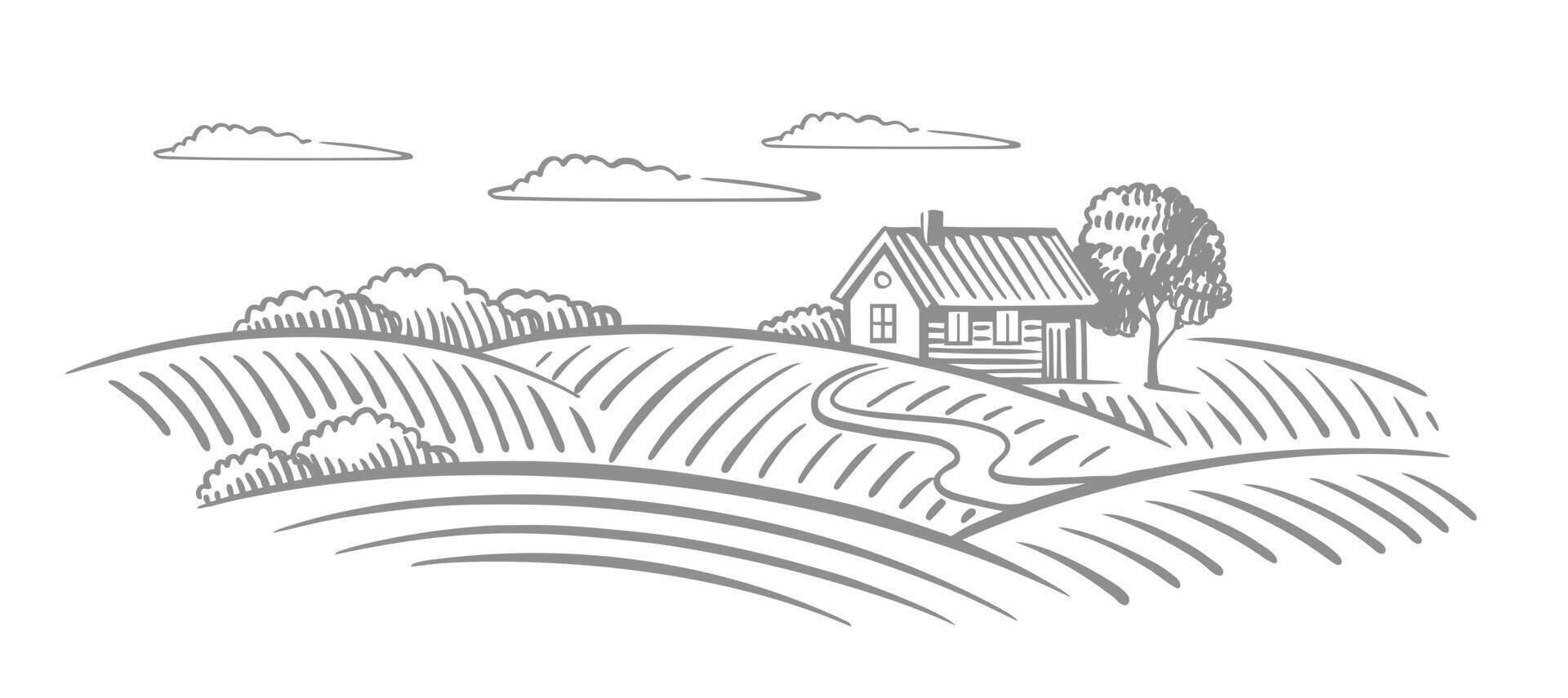 Fields with house in village. Rural landscape countryside vector