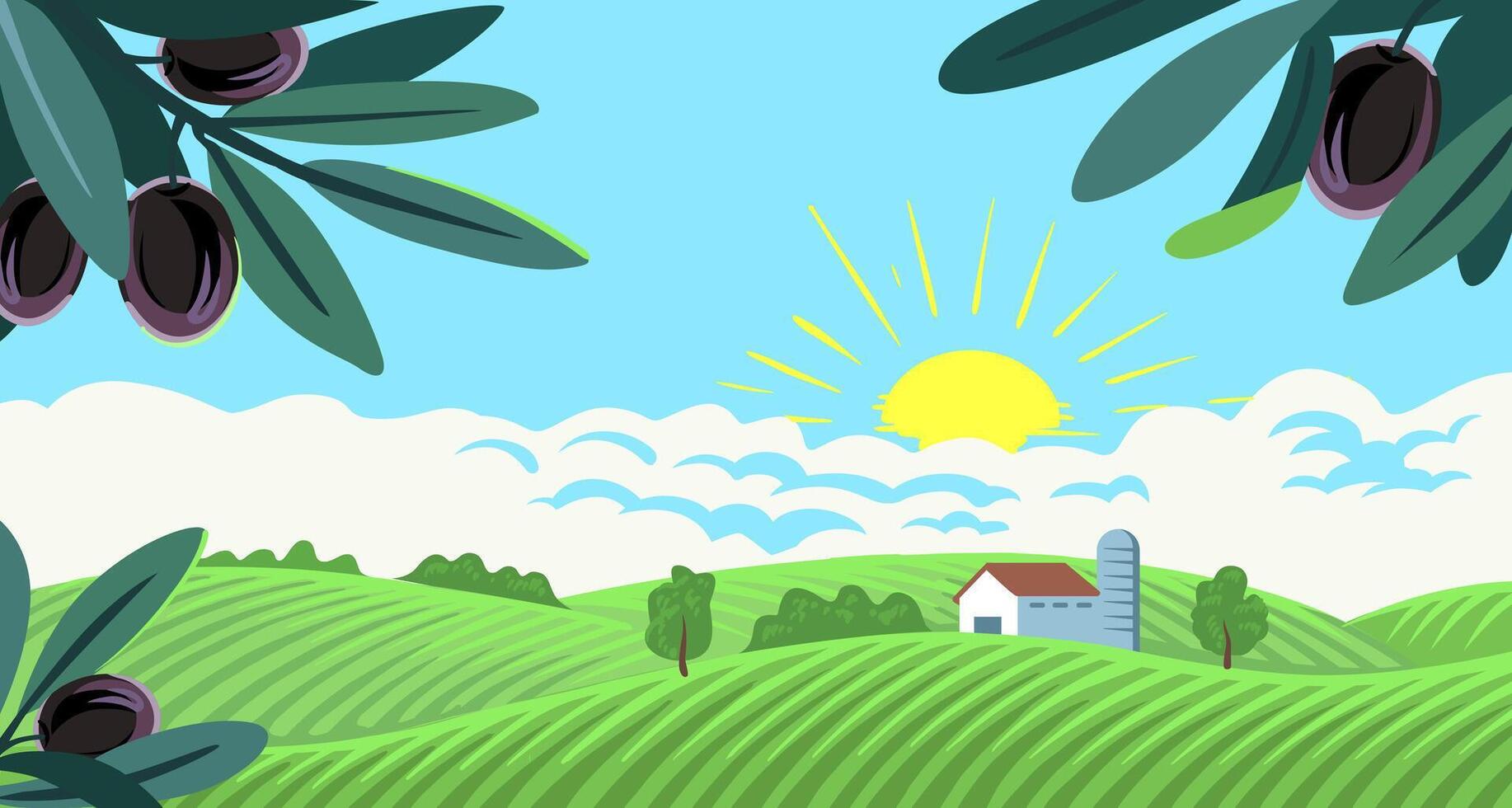 Landscape with olive tree. Farm landscape. vector