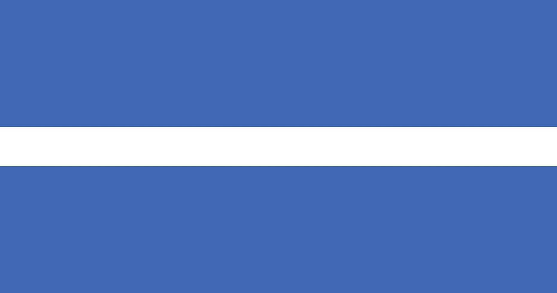 Thin White Line Representing Emergency Medical Services EMS American, USA, US Flag Illustration vector
