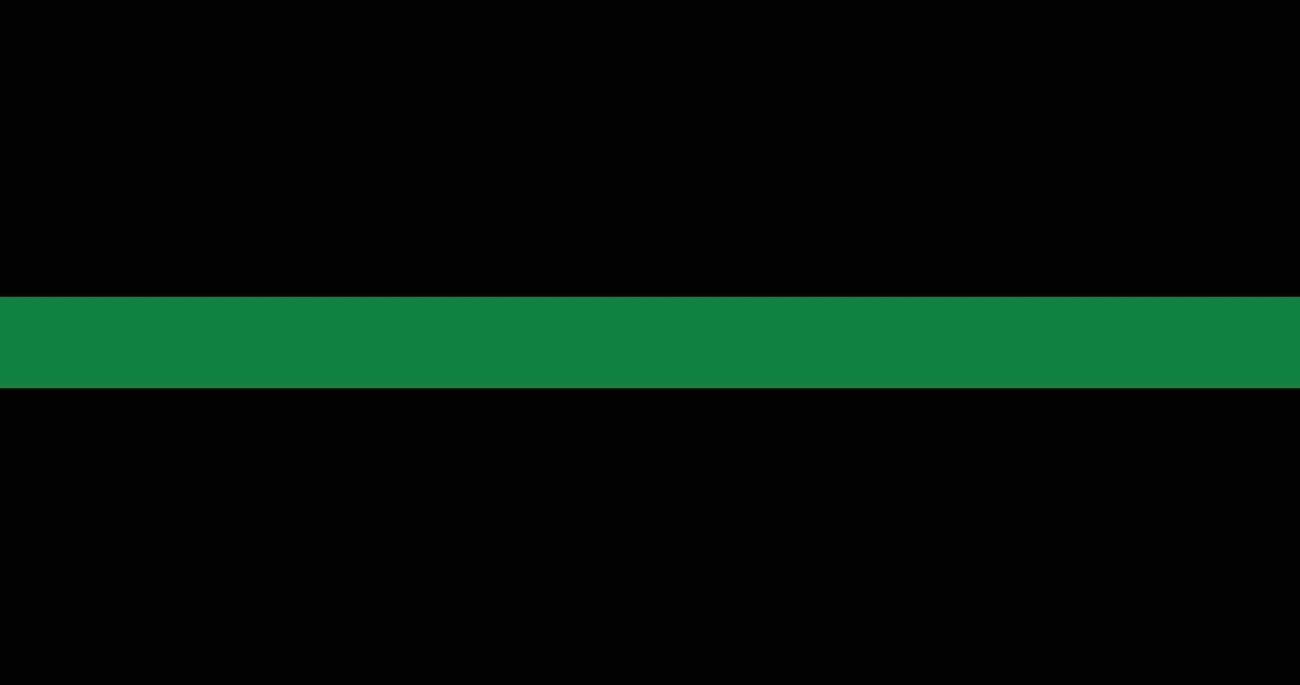 Thin Green Line American, USA, US Flag Illustration vector