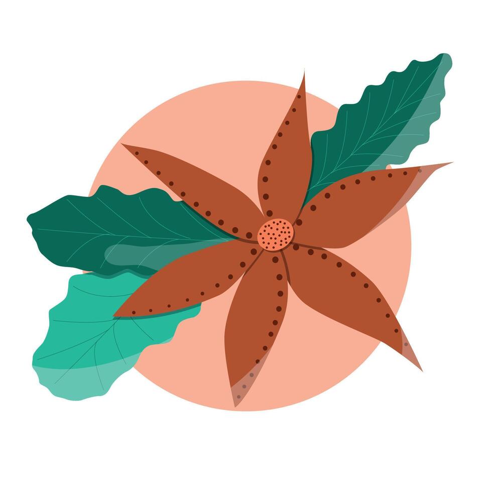 Christmas flower on a circle background, flower design vector