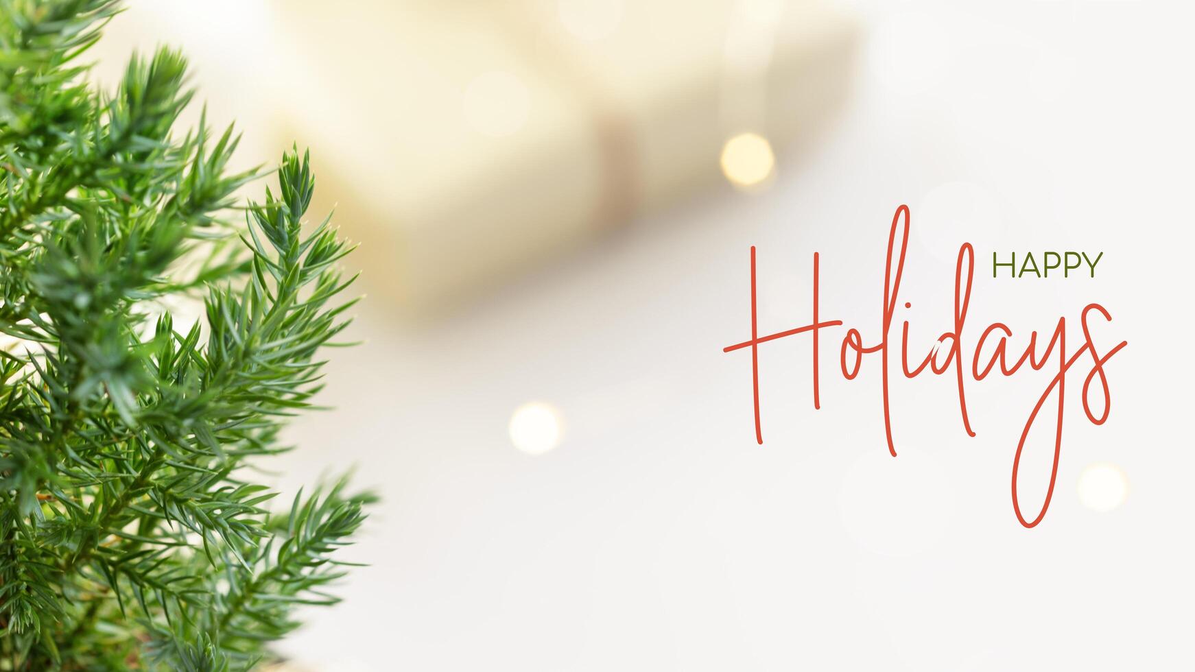 Home planted new year tree on a blurry background with inscription photo