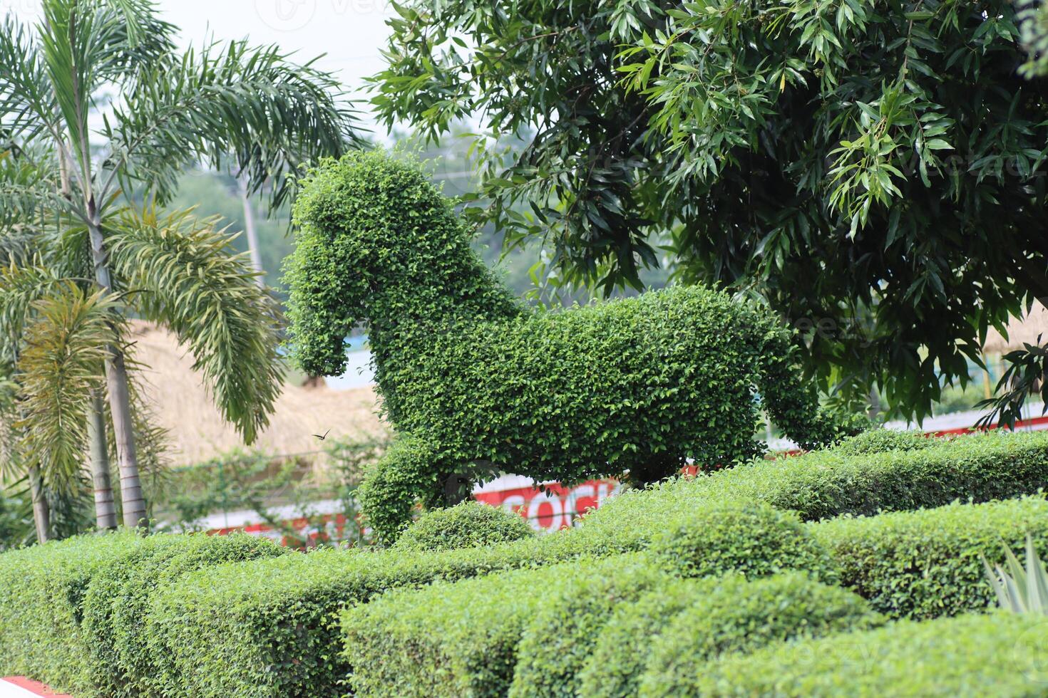 The Horse made of plants photo
