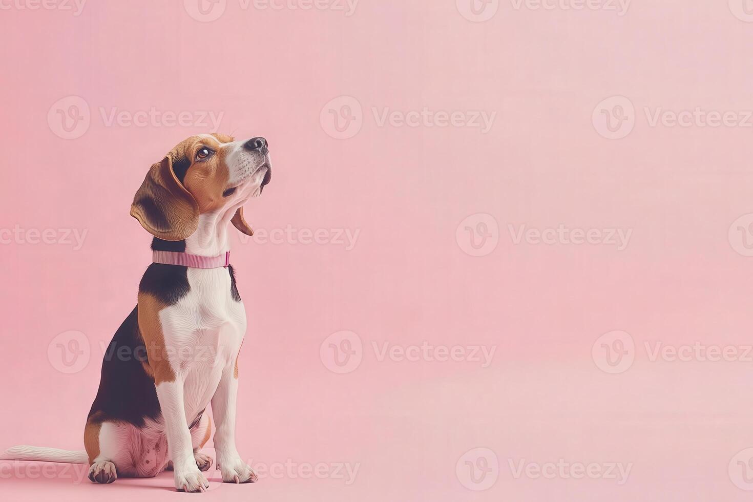 The beagle sits gracefully, its expression inquisitive, in a tranquil atmosphere adorned by a pastel background. photo