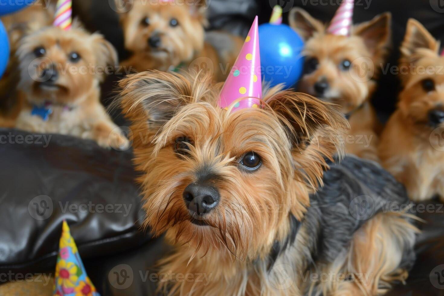 A pack of cheerful dogs dons party hats amidst balloons, reveling in a birthday celebration filled with excitement and joy. photo