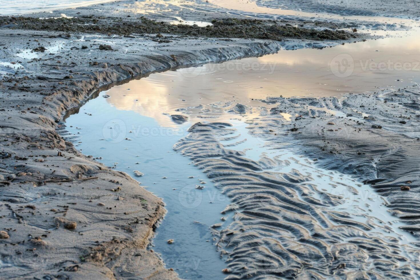 Tide Patterns on Tranquil Coastal Shoreline photo