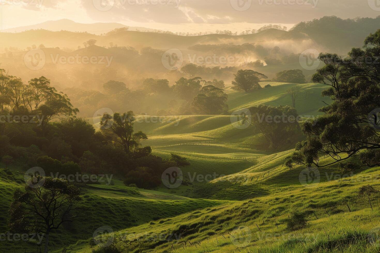 Sunrise Mist in Lush Green Hills photo