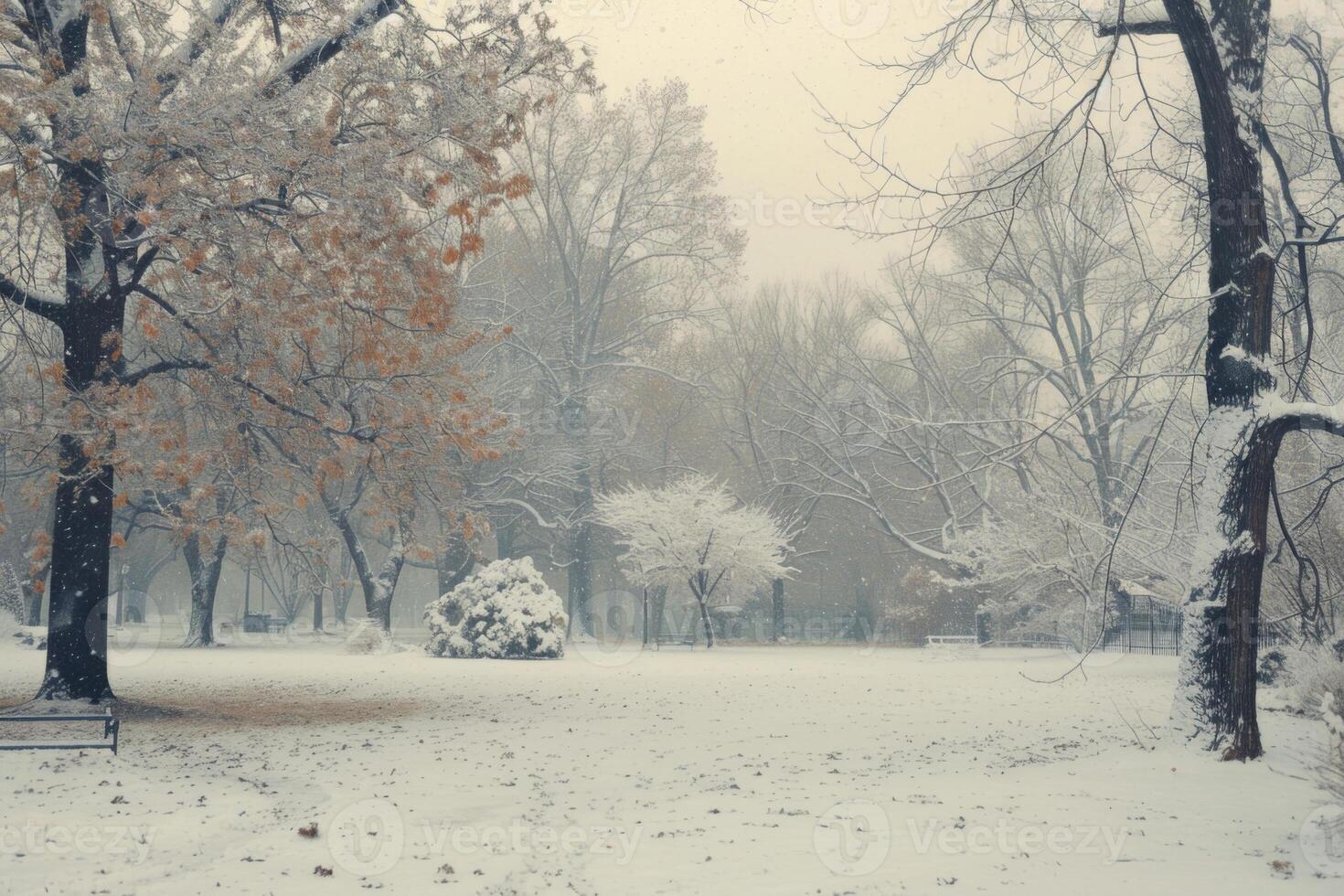 Snowy Park with Autumn Leaves photo