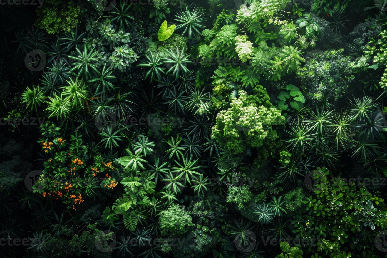 Lush Green Foliage Top View photo