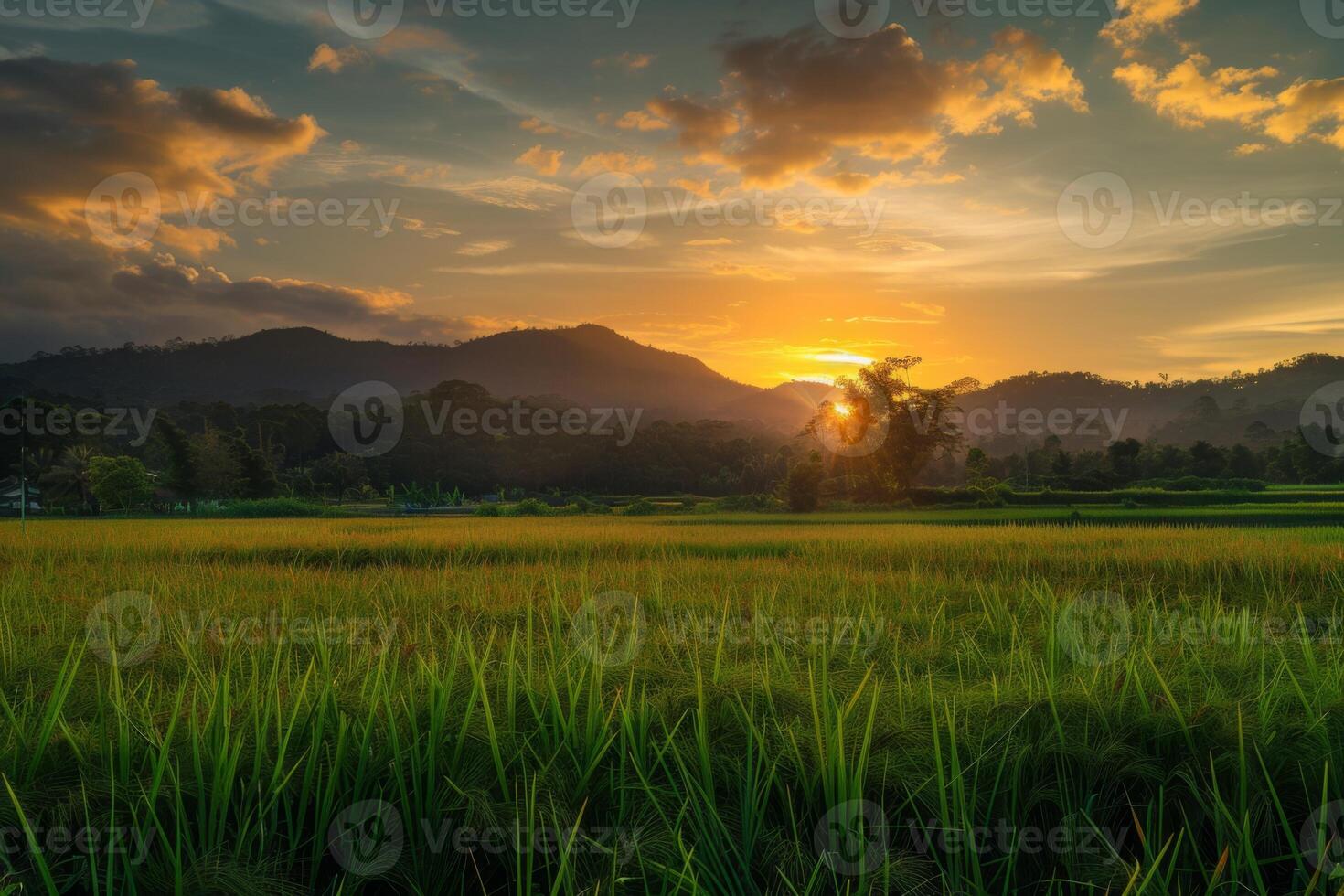 Golden Sunset Over Rustic Countryside Farm photo