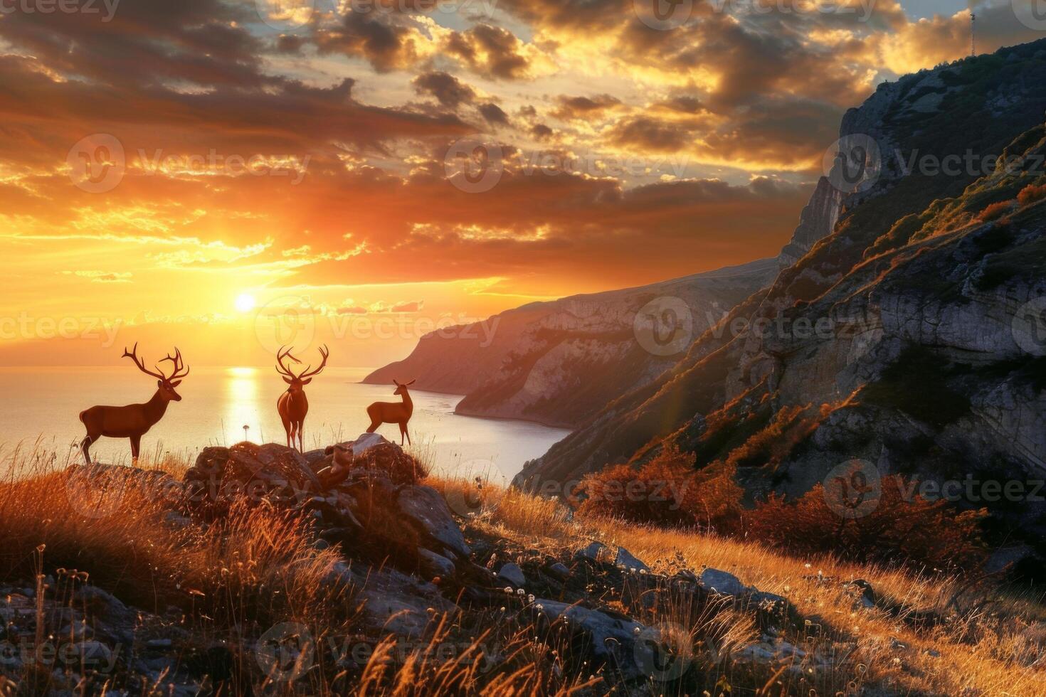 Golden Sunset Over Coastal Hills with Deer photo