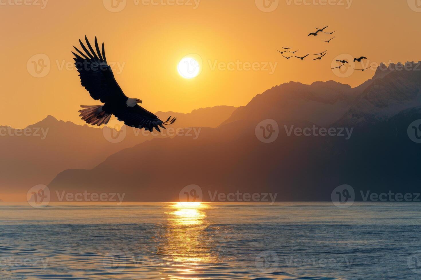 Eagle Soaring at Sunset Over Ocean photo