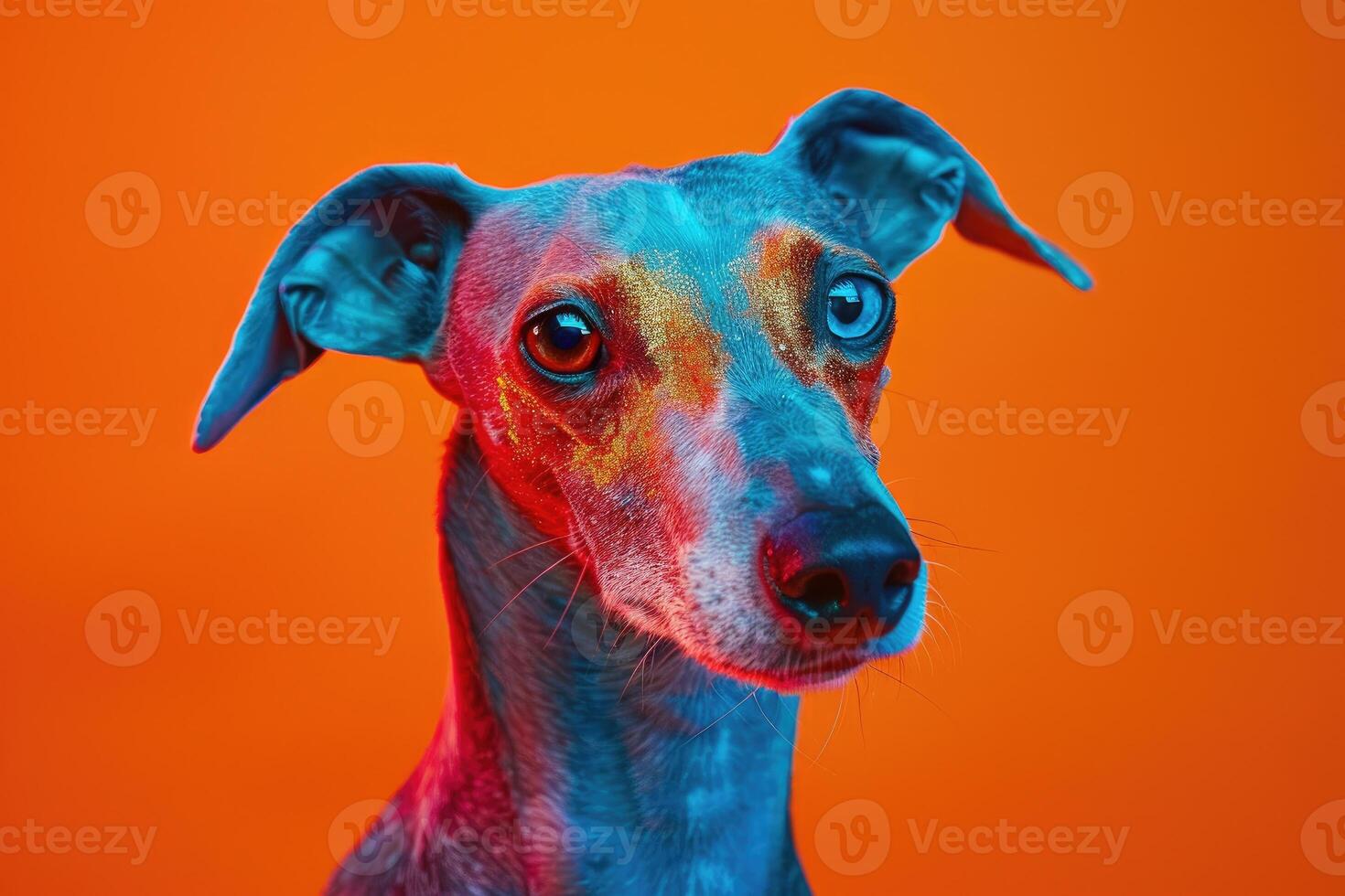 A Close-Up Portrait of a Dog with Neon Blue and Red Lighting and Glitter on its Face photo