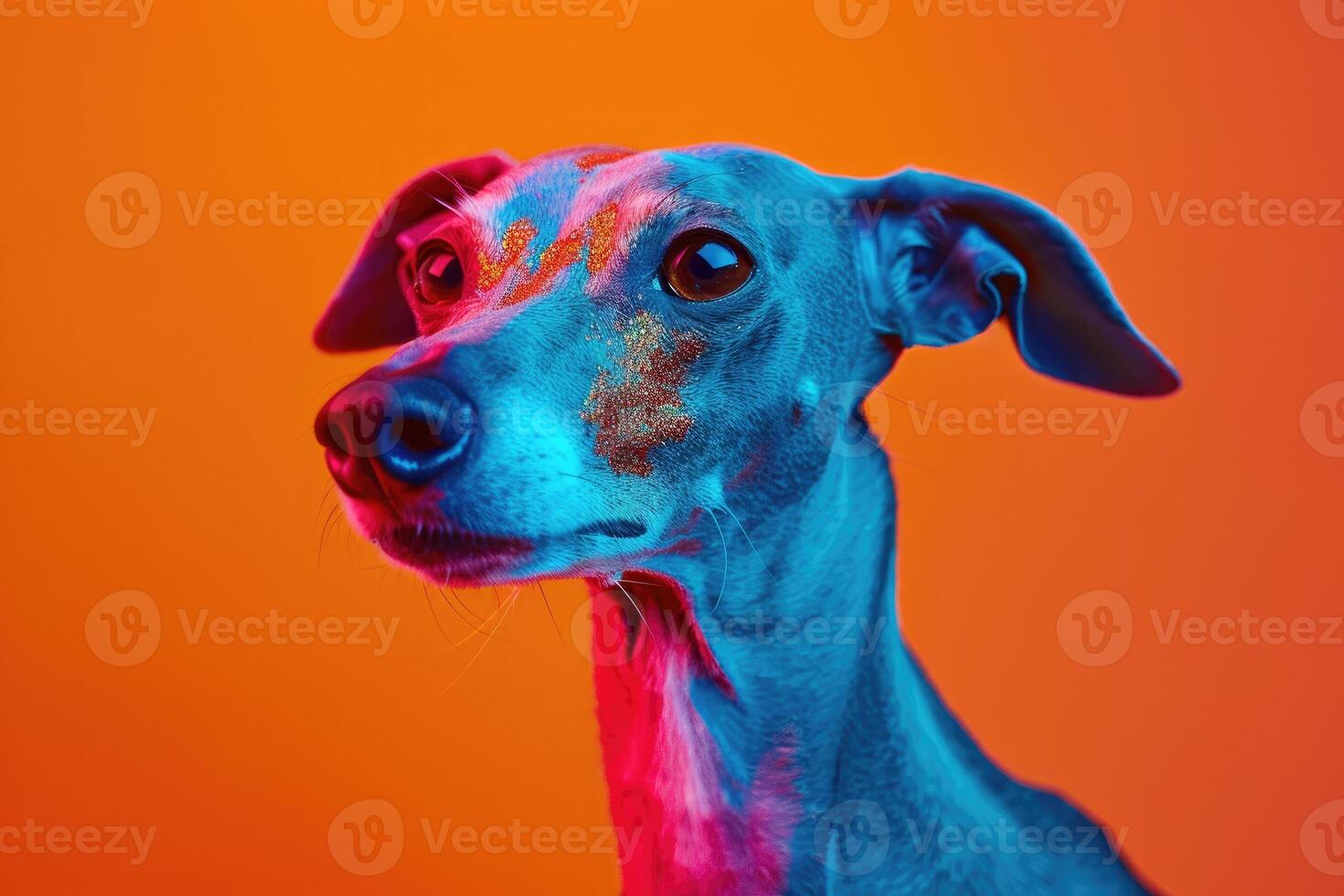 Close-up of a Dog's Face with Neon Blue and Pink Lighting photo