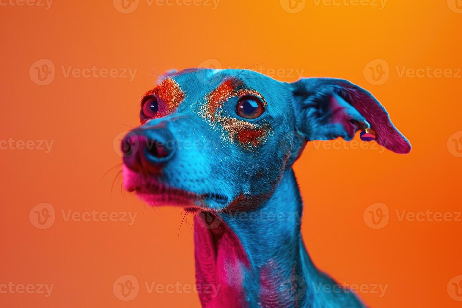 Close-up of a Blue and Pink Dog with Glitter on its Face photo